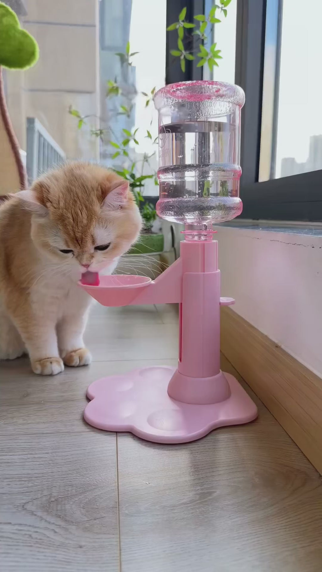 CleanFlow™ Pet Bowl 🐾💧 — Automatic Fresh Water Refill