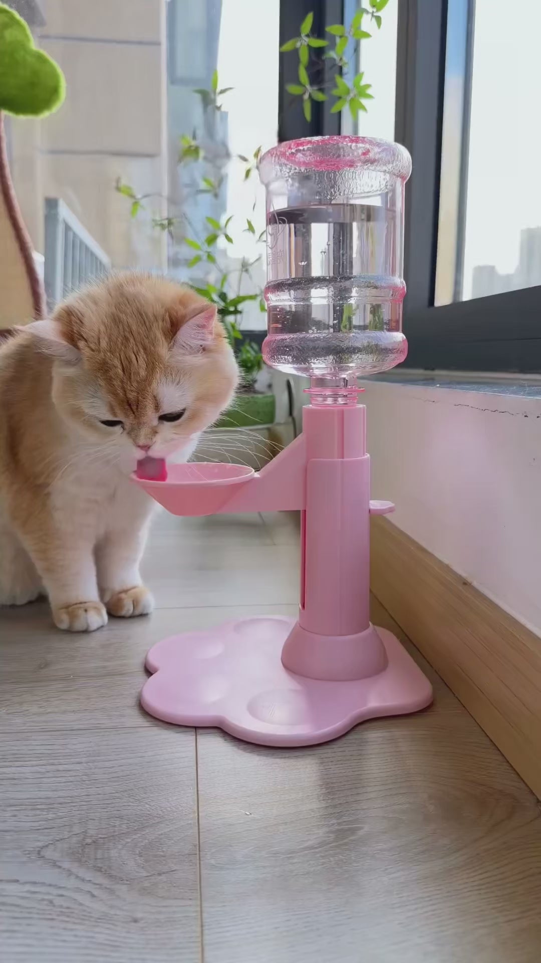 CleanFlow™ Pet Bowl 🐾💧 — Automatic Fresh Water Refill